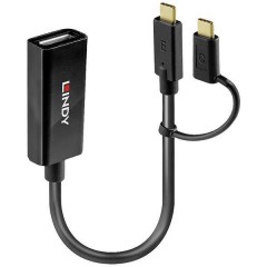 USB-C™, DisplayPort Convertitore [2x spina USB-C™ - 1x Presa DisplayPort]