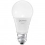 LED (monocolore) ERP F (A - G) E27 Forma di bulbo 14 W = 100 W Bianco caldo (Ø x A) 70 mm x 70 mm