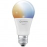 LED (monocolore) ERP F (A - G) E27 Forma di bulbo 9 W = 60 W Da bianco caldo a bianco freddo (Ø x