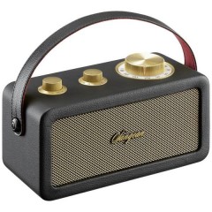 RA-101 Radio a batteria FM Bluetooth, AUX ricaricabile Nero, Oro