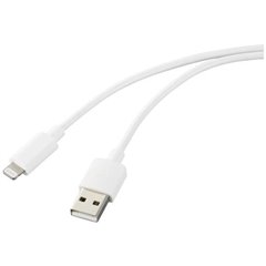 Apple iPad/iPhone/iPod Cavo [1x Spina A USB 2.0 - 1x Spina Dock Lightning Apple] 1.00 m Bianco