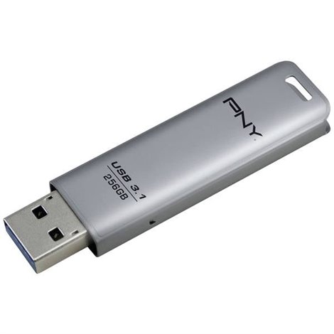 Elite Steel Chiavetta USB 256 GB Argento USB 3.1