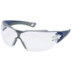 pheos cx2 Occhiali di protezione incl. Protezione raggi UV Blu, Grigio EN 166, EN 170 DIN 166, DIN 170