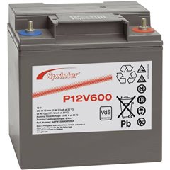P12V600 Batteria al piombo 12 V 24 Ah Piombo-AGM (L x A x P) 169 x 175 x 128 mm Vite M6