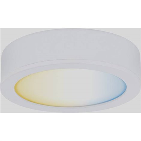 CC Disc Lampada sottopensile 2.10 W Bianco caldo Bianco