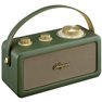 RA-101 Radio a batteria FM Bluetooth, AUX ricaricabile Verde, Oro