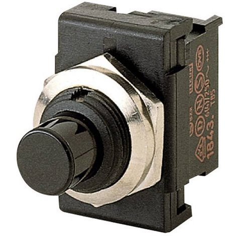 Pulsante 250 V/AC 6 A 1 x On / (On) Momentaneo (L x L) 23.9 mm x 16.6 mm IP40 1 pz.