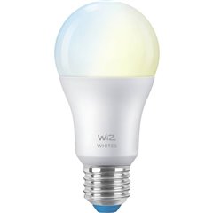 LED (monocolore) ERP F (A - G) E27 8 W = 60 W Da bianco caldo a bianco luce del giorno controllo con