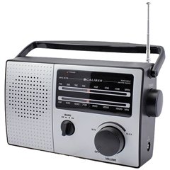 Radio da tavolo FM Argento