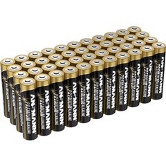 Batteria Ministilo (AAA) Alcalina/manganese 1.5 V 44 pz.