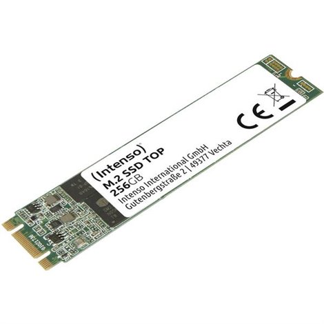 Top Performance 256 GB Memoria SSD interna SATA M.2 2280 M.2 SATA 6 Gb/s Dettaglio