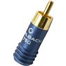 Cover Connector 75 Ohm Spina RCA