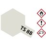 Vernice acrilica Titanio, Argento Codice colore: TS-88 Bombola spray 100 ml