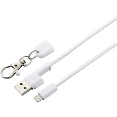 Apple iPad/iPhone/iPod Cavo [1x Spina A USB 2.0 - 1x Spina Dock Lightning Apple] 0.95 m Bianco