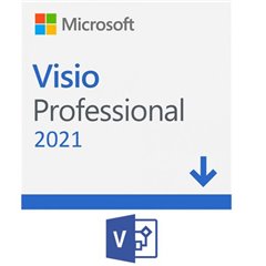 Microsoft VISIOPRO2021PKLALLLNGONLNDWNLD
