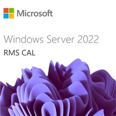 Microsoft WIN SRV 2022 RMS CAL 1 USER 1 YEAR