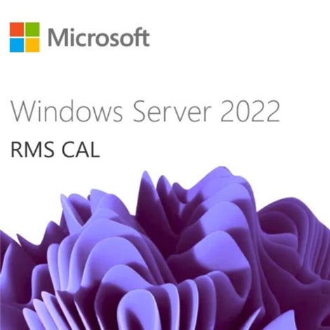 Microsoft WIN SRV 2022 RMS CAL 1 USER 1 YEAR
