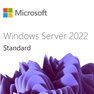 Microsoft WIN SRV 2022 CAL 1 DEVICE CAL 1YEAR