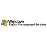 Microsoft WIN RIGHTS MGMT SERVICES CAL SPLA