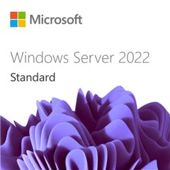 Microsoft WIN SRV 2022 CAL 1 USER CAL 3 YEAR