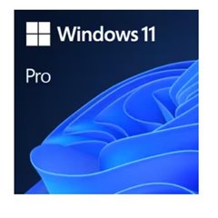 Microsoft WIN11 PRO N CHARITY
