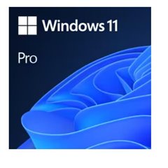 Microsoft WIN11 PRO N UPGRADE EDU