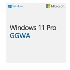 Microsoft WINGGWA-WIN11PRON-LEGALGETGENUINE
