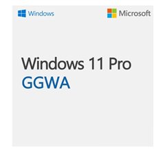 Microsoft WINGGWA-WIN11PRO-LEGALGETGENUINE