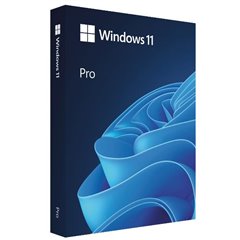Microsoft WIN PRO FPP 11 64-BIT ITALIAN USB
