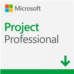 Microsoft PROJECT PRO 2021 IT MEDIALESS