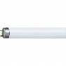  Tubo fluorescente Classe energetica: A (A++ - E) G13 58 W Bianco caldo A forma tubolare (Ø x L) 26 mm x 1500 mm 1 