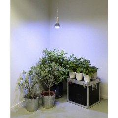 Lampadina per piante 136 mm 230 V E27 18 W Bianco neutro Riflettore 1 pz.