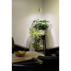 Lampadina per piante 89.5 mm 230 V E27 6 W Bianco neutro Riflettore 1 pz.