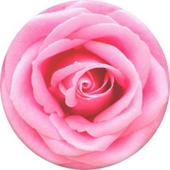 Supporto smartphone Rose All Day Rosa
