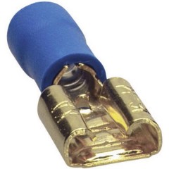 Spina faston HiFi per auto Kit da 10 2.5 mm² 6.3 mm placcato oro