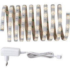 YourLED Kit completo striscia LED con spina 12 V 3 m Bianco caldo