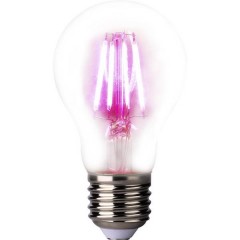Lampadina LED per piante 109 mm 230 V E27 4 W Forma di bulbo 1 pz.