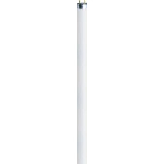 Tubo fluorescente ERP: G (A - G) G5 8 W Bianco freddo 840 A forma tubolare (Ø x L) 16 mm x 288 mm 1 pz.