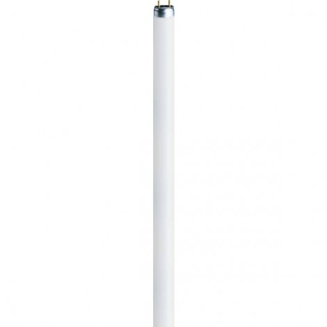 Tubo fluorescente Classe energetica: A (A++ - E) G5 8 W Bianco freddo 840 A forma tubolare (Ø x L) 16 mm x 288 mm