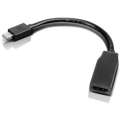 Adattatore Mini-DisplayPort Adatto per marchio: Thinkpad