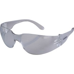 Occhiali di protezione antiappannante Trasparente DIN EN 166-1