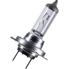 Lampada alogena standard 12 V 1 pz. PX26d