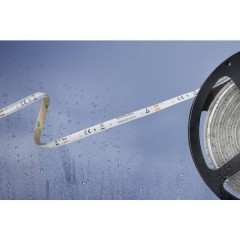 Striscia LED con estremità libera 12 V/DC 5 m Bianco caldo