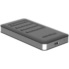 Store n Go Secure Portable SSD 256 GB SSD esterno USB 3.2 Gen 2 (USB 3.1) Nero