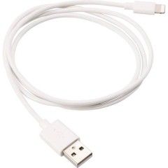 Apple iPad/iPhone/iPod Cavo 30.00 cm Apple Lightning, USB