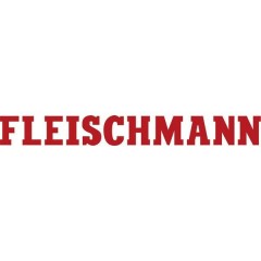 Fleischmann N Kit da 2 vagoni merci coperti di DB-AG