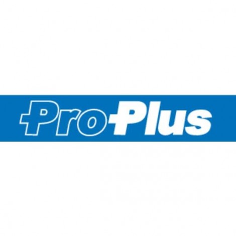 ProPlus Picchetto per tenda Heringset Kunststoff - 10 Stück für Bodenplanen und Zeltteppiche 7.5 cm x 9 cm 10